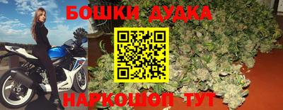 шишки Бузулук