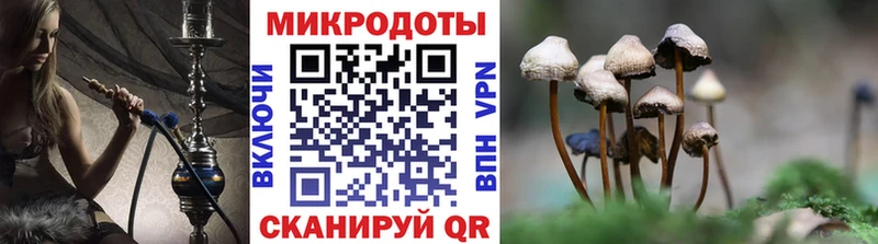 Галлюциногенные грибы Psilocybine cubensis  наркотики  Дятьково 