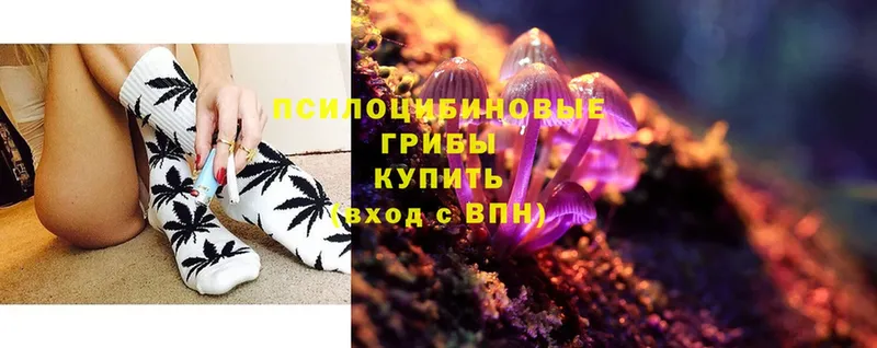 Псилоцибиновые грибы прущие грибы  Дятьково 