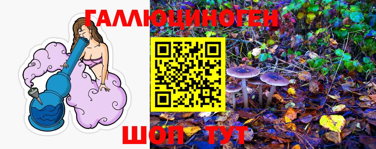 Псилоцибиновые грибы Psilocybine cubensis Дятьково